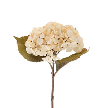 Load image into Gallery viewer, Cream Hydrangea Floral Stem