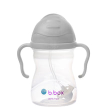Load image into Gallery viewer, Sippy Straw Cup 240ml - Grey