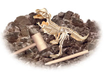 Load image into Gallery viewer, Smithsonian Diggin' Up Dinosaurs T-Rex