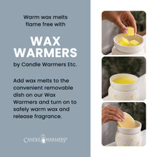 Load image into Gallery viewer, Daisy Wax Warmer