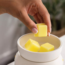 Load image into Gallery viewer, Daisy Wax Warmer