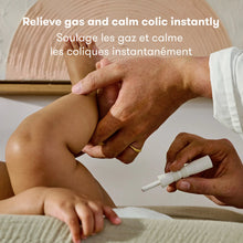 Load image into Gallery viewer, Windi The GasPasser