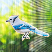 Load image into Gallery viewer, Blue Jay Two-Sided Magnet