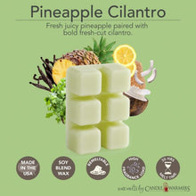 Load image into Gallery viewer, Pineapple Cilantro Wax Melts
