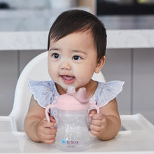 Load image into Gallery viewer, Transition Value Pack - Blush