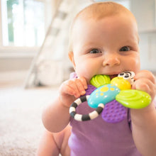 Load image into Gallery viewer, Sassy Flutterby Teether