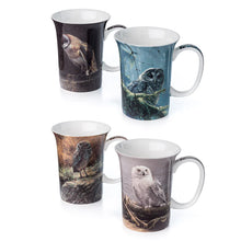 Load image into Gallery viewer, Bateman 'Owls' Set of 4 Mugs