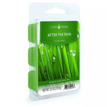 Load image into Gallery viewer, After The Rain Wax Melts