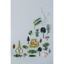 Load image into Gallery viewer, Venus Trinket Tray