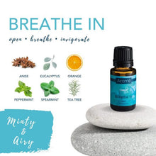 Load image into Gallery viewer, Breathe In Essential Oil