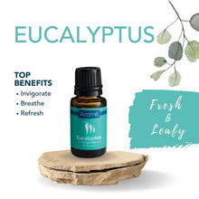 Load image into Gallery viewer, Eucalyptus Essential Oil