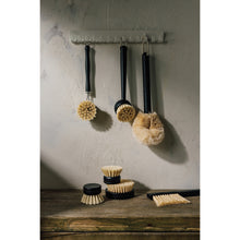 Load image into Gallery viewer, Sisal Replacement Dish Brush Heads - Set of 2