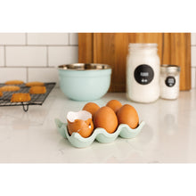 Load image into Gallery viewer, Robin's Egg Speckle Egg Crate