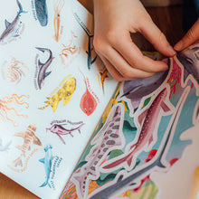Load image into Gallery viewer, Sharks & Friends Shiny Stickers
