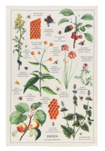 Load image into Gallery viewer, Bee Varieties Fine Print Dishtowel