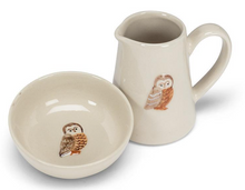 Load image into Gallery viewer, Owl Mini Jug