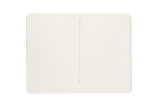 Load image into Gallery viewer, Ribbit Pocket Notebooks - Set of 2