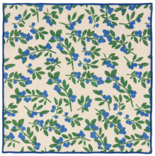 Load image into Gallery viewer, Berry Bramble Dishcloth