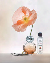 Load image into Gallery viewer, Corali Coral Fragrance Lamp Gift Set
