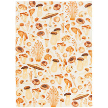 Load image into Gallery viewer, Locally Grown Dishtowel - Assorted