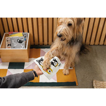 Load image into Gallery viewer, Meow & Furever Swedish Dishcloth