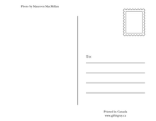 Load image into Gallery viewer, Barry's Bay Fox Post Card