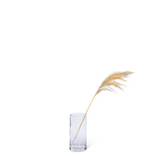 Load image into Gallery viewer, 3-Stem Medium Pampas Grass