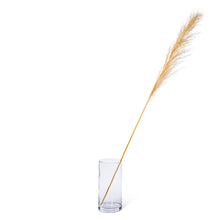 Load image into Gallery viewer, XLarge Natural Pampas Grass (PICKUP ONLY)