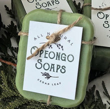 Load image into Gallery viewer, Rainwater Bar