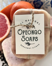 Load image into Gallery viewer, Rainwater Bar