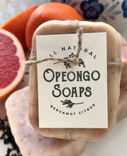 Load image into Gallery viewer, Rainwater Bar