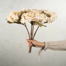 Load image into Gallery viewer, Cream Hydrangea Floral Stem
