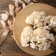 Load image into Gallery viewer, Cream Hydrangea Floral Stem
