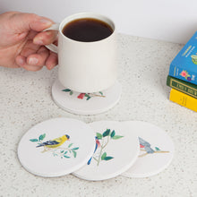 Load image into Gallery viewer, Birdsong Coaster - Assorted
