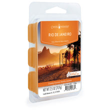 Load image into Gallery viewer, Rio De Janeiro Wax Melts

