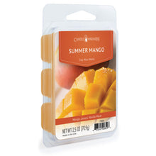 Load image into Gallery viewer, Summer Mango Wax Melts
