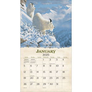 Beyond The Woods 2025 Lang Calendar