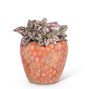 Small Strawberry Planter