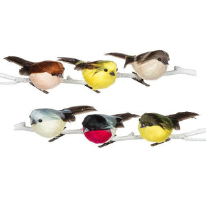Colourful Bird with Pointy Tail - Assorted