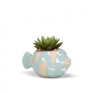 Small Fish Planter