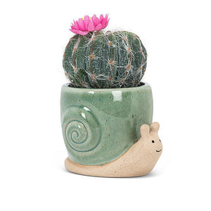 Extra Small Crawling Snail Planter