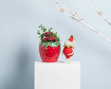 Load image into Gallery viewer, Strawberry &amp; Leaf Small Planter
