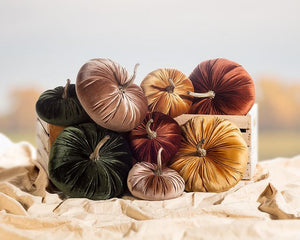 Large Velvet Pumpkin - Assorted