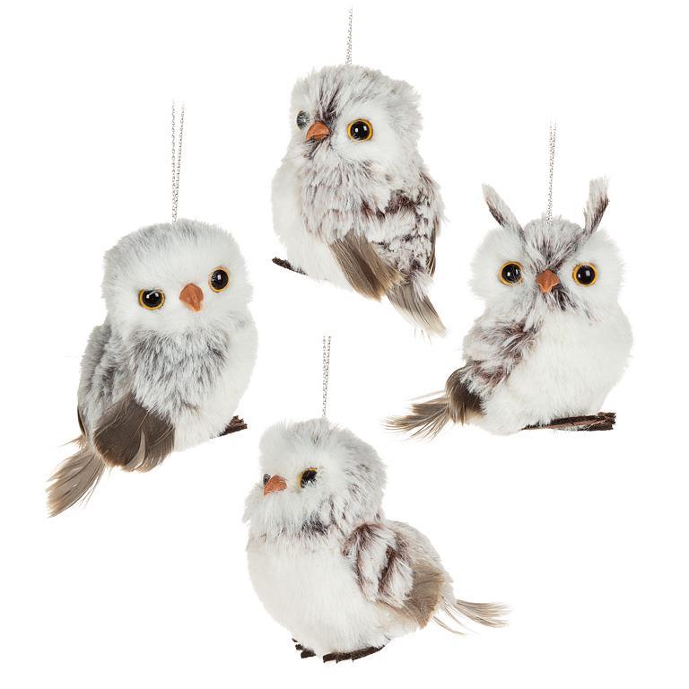 Small Fluffy Owl  - Assorted