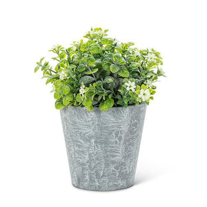 Flowering Plant Pot