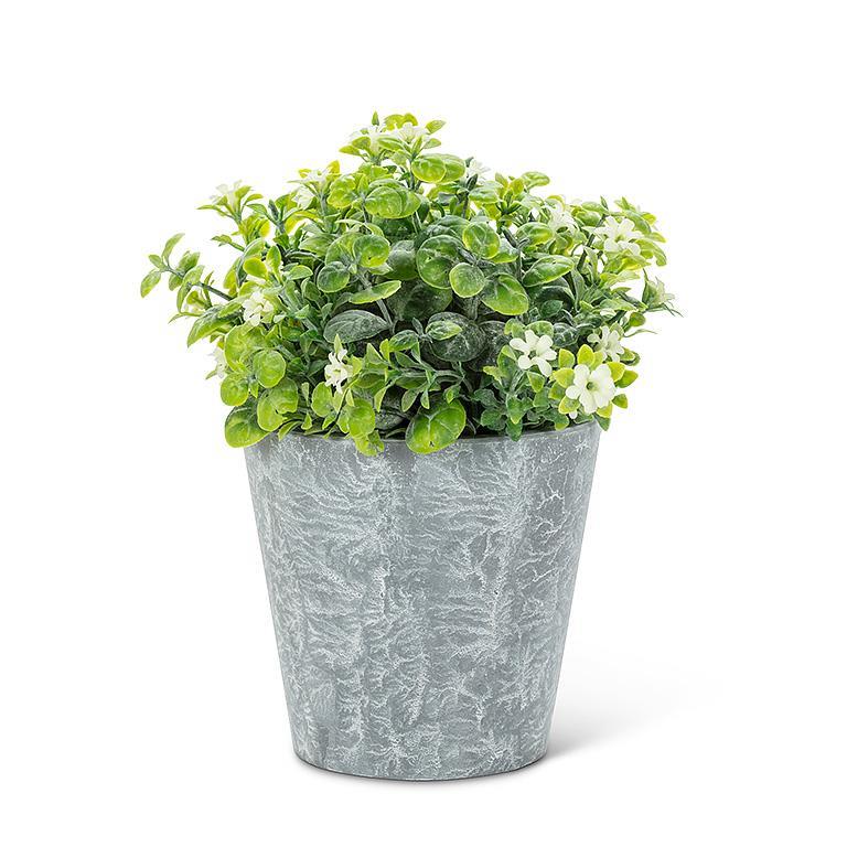 Flowering Plant Pot