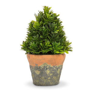 Cone Shaped Greenery in Natural Pot