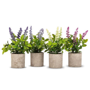 Spiky Flowering Plant Pot - Assorted