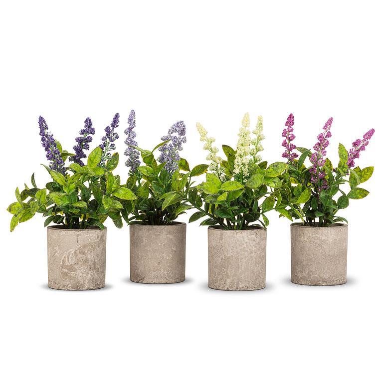 Spiky Flowering Plant Pot - Assorted