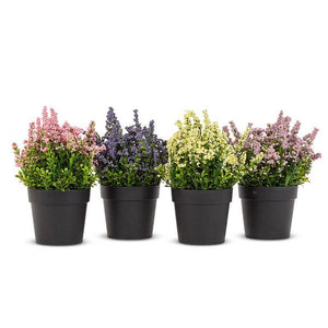 Lavender Plant Pot - Assorted